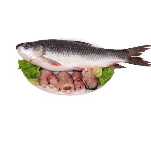 Rohu Fish Bengali Cut
